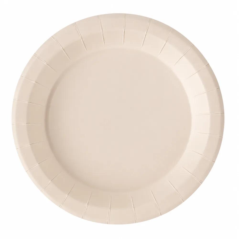 PLATO BIOFORM 22.5 CM X 20