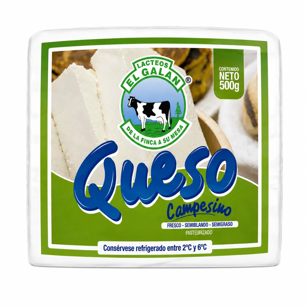 QUESO CAMPESINO GAL *500G